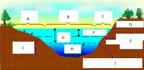 Lake Light Zonation (Chapter 7) Diagram | Quizlet