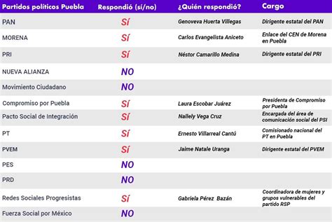 Partidos Pol Ticos Relegan A Personas Con Discapacidad El Caso De Puebla