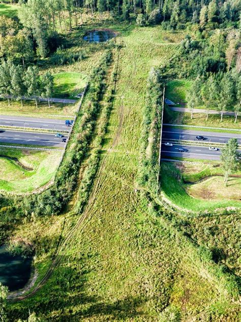 The Amazing Wildlife Bridges in Netherlands » Nickey's Circle