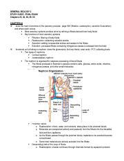 General Biology Studyguide Final Spring Docx General Biology