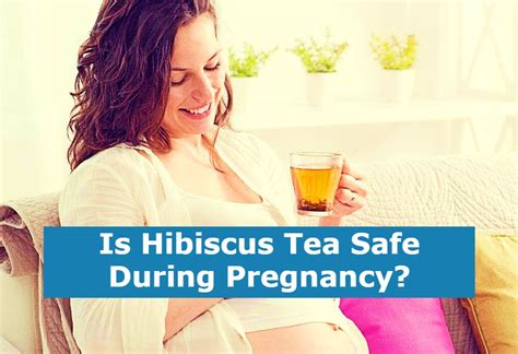 Is Hibiscus Tea Safe During Pregnancy