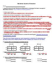 Understanding Mendelian Genetics Lab Worksheet Course Hero