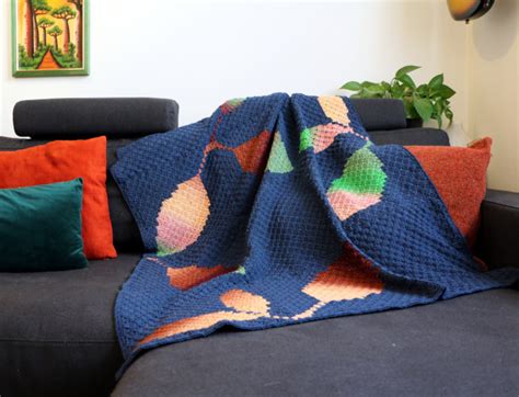 5 Consigli Per Realizzare Una Coperta All Uncinetto Dritte Al Punto