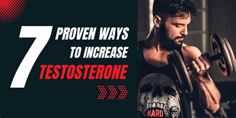 7 Proven Ways To Increase Testosterone Levels Naturally La Elega