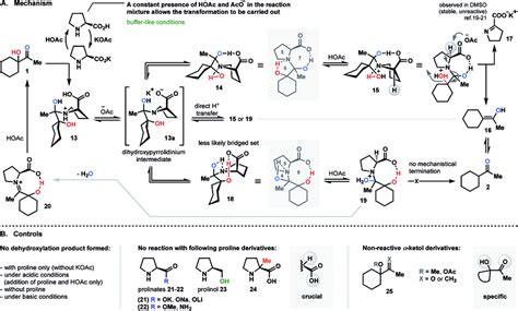 Proline-supported dehydroxylation (proposed mechanism) | Download ...