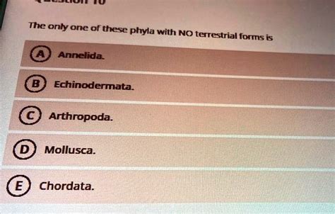 Solved The Only One Of These Phyla With No Terrestrial Forms Is Annelida Echinodermata