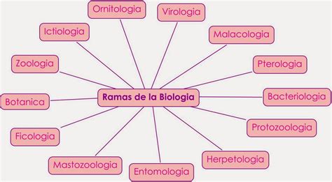 Cuales Son Las Ramas Auxiliares De La Biologia Abstractor