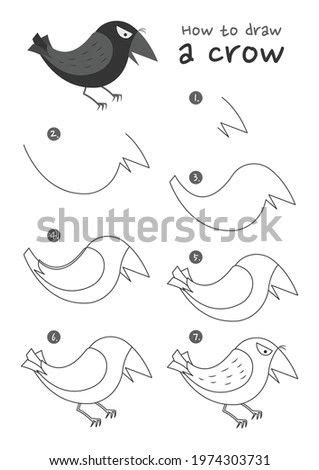 How to draw a crow bird vector illustration. Draw a crow step by step ...