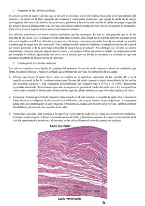 Aforo por el método del molinete Universidad Nacional Autónoma de