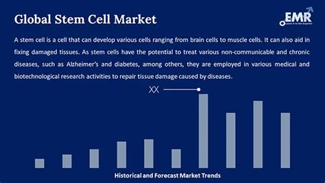 Stem Cell Market Size Share And Analysis Report 2034