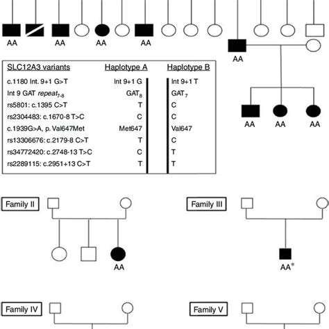 Pedigrees Of The Five Families A And B Represents The Haplotypes