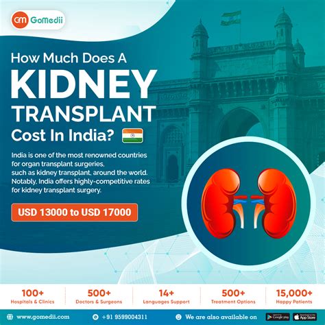 How Much Does A Kidney Transplant Cost In India Gomedii