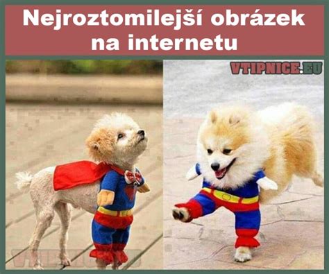 Vtipné Srandovní Obrázky S Textem Vtipniceeu Vtipniceeu Part 39