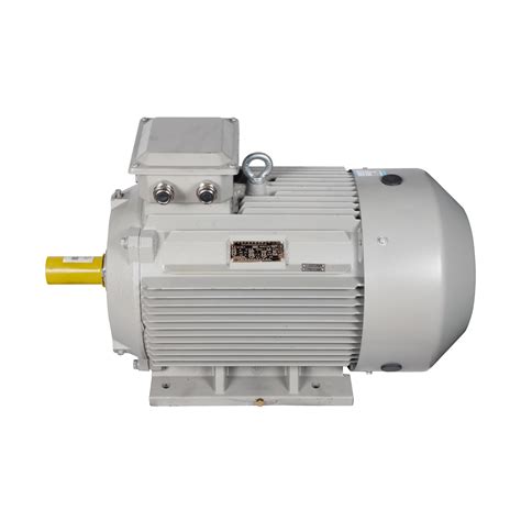 Typ Series Frequency Conversion Ac Permanent Magnet Synchronous Electric Motor China