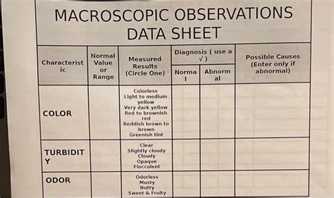 Solved Macroscopic Observations Data Sheet Diagnosis Use A Chegg