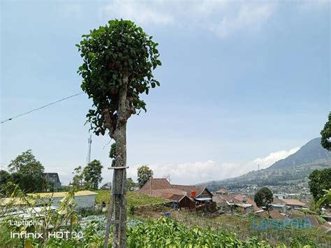 Review Infinix Hot 30 Smartphone Sejutaan Tampil Mewah Dengan Fitur Lengkap Laptophia