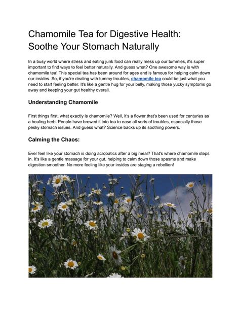 Ppt Chamomile Tea For Digestive Health Soothe Your Stomach Naturally