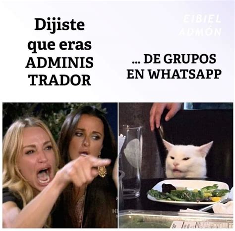 Historia Y Origen Del Meme Del Gato En La Mesa Y La Mujer Gritando