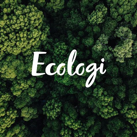 Elorn and Ecologi: Our commitment to sustainability - Elorn