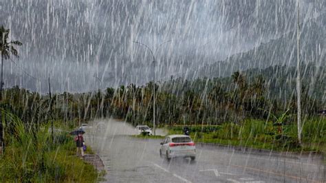 Heavy Rain Wets My Village Walking In The Rain Sleep Instantly With