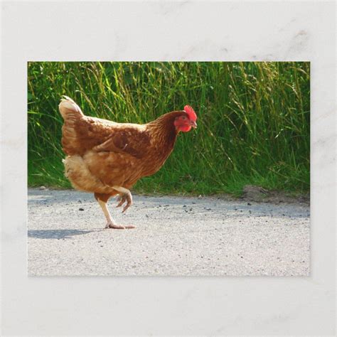 Why Did The Chicken Cross The Road Artofit