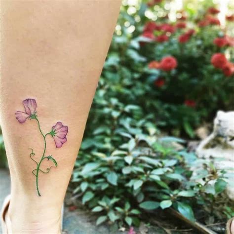 Sweet Pea Flower Tattoo Ideas And Their Meaning