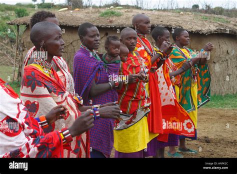 Maasai Women In Traditional Dress Perform Welcome Dance And Sing In