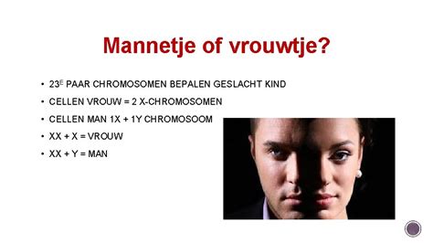 Anatomie En Fysiologie Les Chromosomen Dna Lesindeling