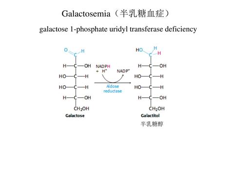 Ppt Chapter 10 Glycolysis Powerpoint Presentation Free Download Id 6369294