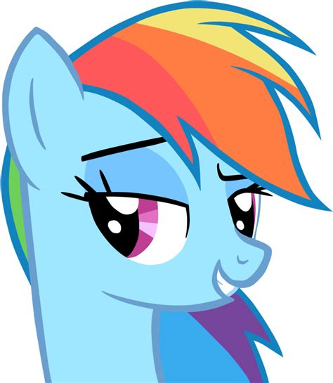 Rainbow Dash Pinkie Pie Rarity Twilight Sparkle Applejack Mlp Rainbow Dash Confused Png