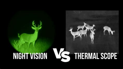 Night Vision Versus Thermal Scope - The Chicago Weekly