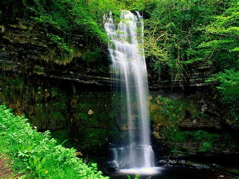 Imagen De Pantalla Cascada Naturaleza Bosque Aesthetic Panor Mica