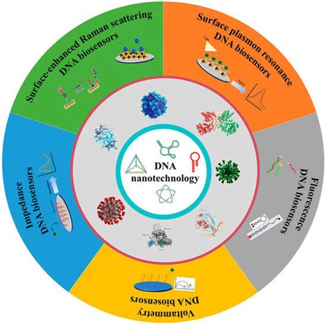 Biosensors Free Full Text Recent Advances In Dna Nanotechnology