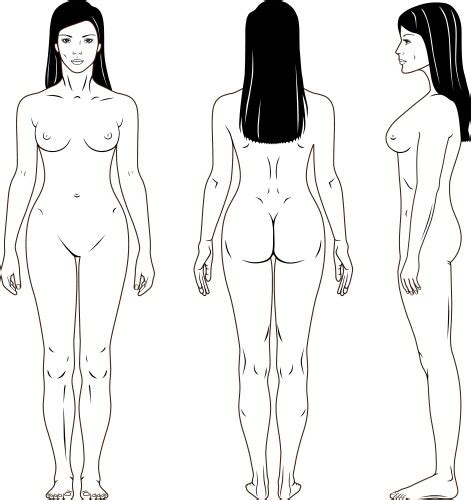 Naked Standing Woman Royalty Free Vector Image