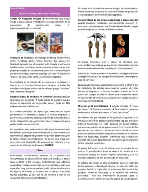 Neoplasia Biolog A Del C Ncer Oncolog A I Ninavetstudy Udocz