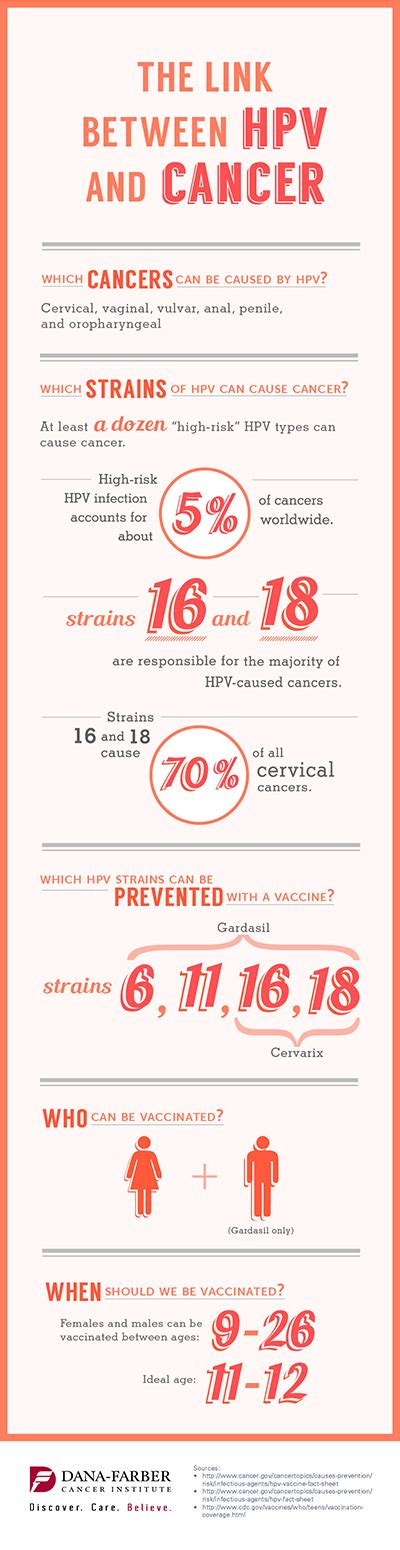 The Link Between HPV And Cancer Infographic Dana Farber Cancer