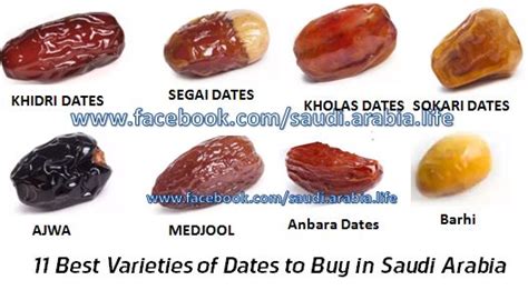 Best Varieties Of Dates To Buy In Saudi Arabia Sweet Taste