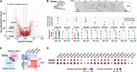 Frontiers Single Nucleus Rna Seq Of Normal Appearing Brain Regions In