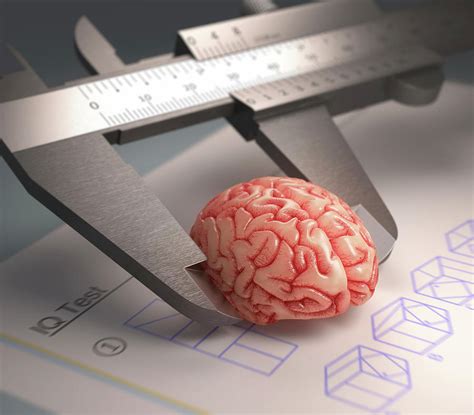 Measuring Human Brain 1 By Ktsdesign Science Photo Library