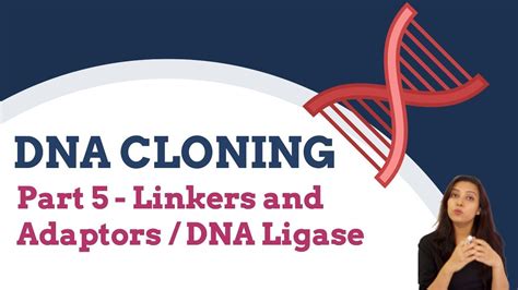 DNA Cloning Part 5 Linkers And Adaptors DNA Ligation Recombinant