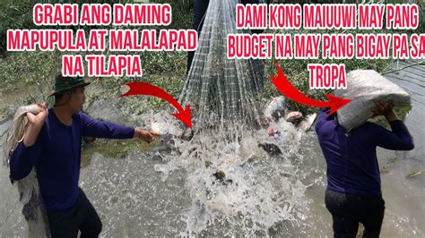 GRABI DAMING MAPUPULA AT MALALAPAD NA TILAPIA CATCH AND COOK YouTube