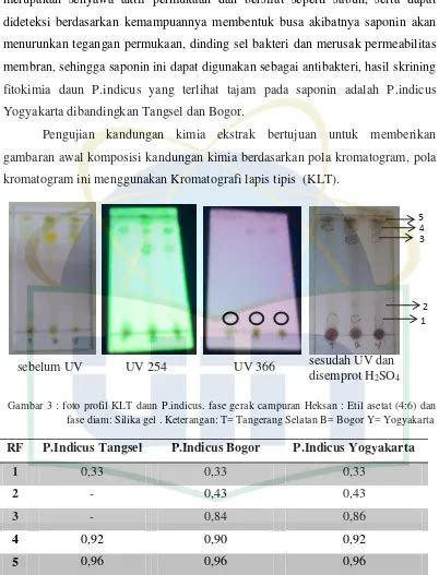 Standardisasi Ekstrak Etanol Daun Angsana Pterocarpus Indicus Willd