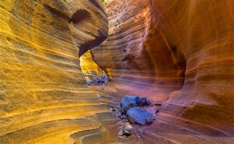 Barranco De Las Vacas Gran Canaria