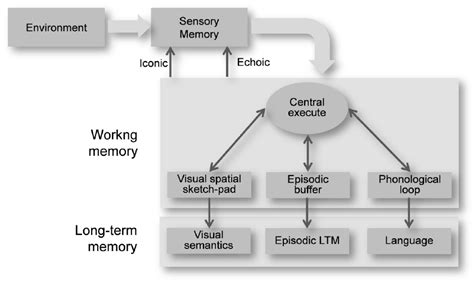 Human Memory Diagram