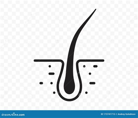 Hair Follicle Vector Illustration 22340278