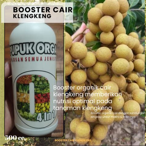 Pupuk Booster Cair Pelebat Buah Klengkeng Durian Mangga Kakao Jambu