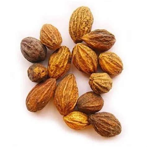 Solid Terminalia Chebula Seeds, Packaging Type: PP Bag, Packaging Size ...