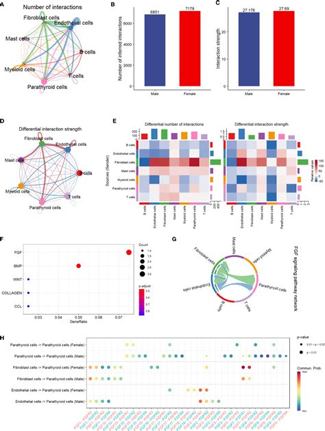 Frontiers Single Cell Rna Sequencing Reveals The Role Of Cell