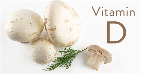 Vegan Vitamin D from Mushrooms - Real Mushrooms