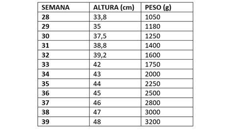 intencional Alfabeto yeso peso fetal 23 semanas gestacion verbo caloría